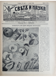 Bulgarian vintage magazine "World and Science" | The life of one toxic butterfly | 1936-05-15 06-01